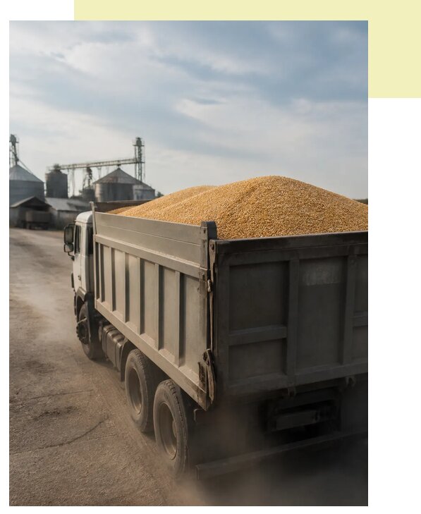 Перевозка сельхозпродукции навалом в Белогорск по цене от 3061 р. | Агросервис-Бгк