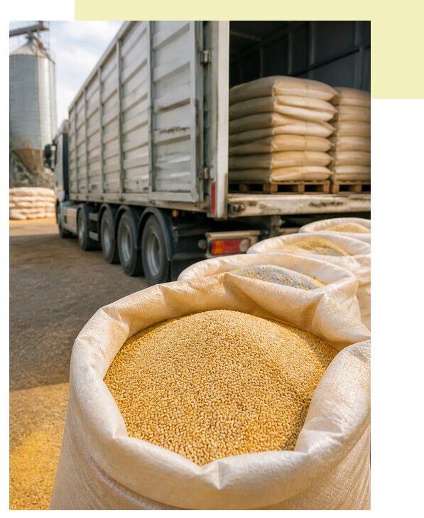 Перевозка проса автотранспортом в Белогорск по цене от 5458 р. | Агросервис-Бгк